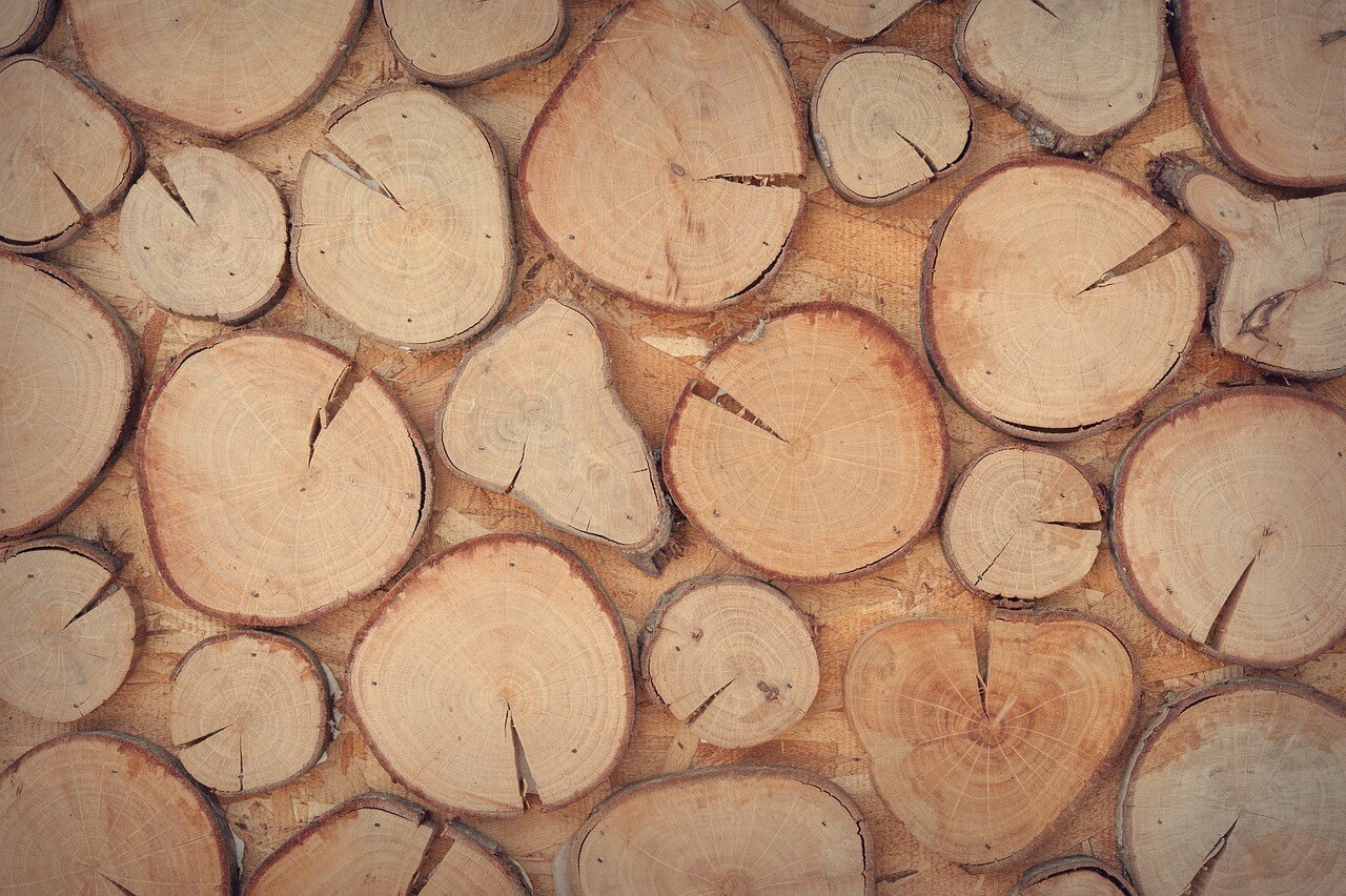 Drewno kominkowe – jakie wybrać?